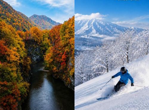 山の家 富良野の静かなエリアにある2リビングの広々一棟貸切ハウス