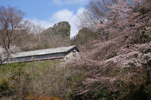 Natural Mind Tour guest house - Vacation STAY 23292v