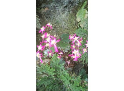 Otsuki Lohas Village Unsuisha - Vacation STAY 57230v